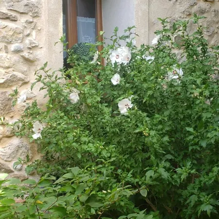 Сasa de vacaciones Le Chateau Camps-sur-l'Agly